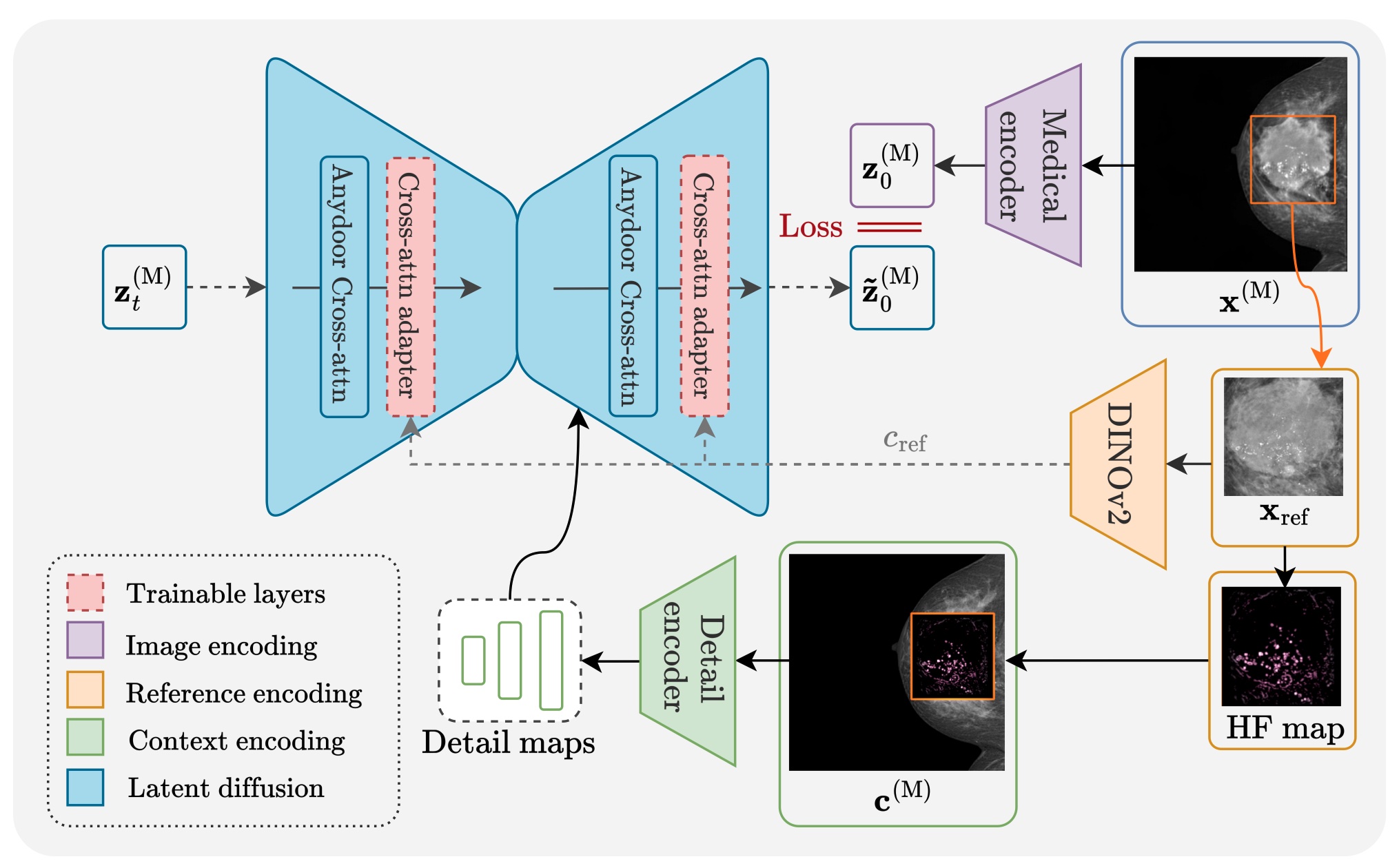 AnydoorMed Architecture